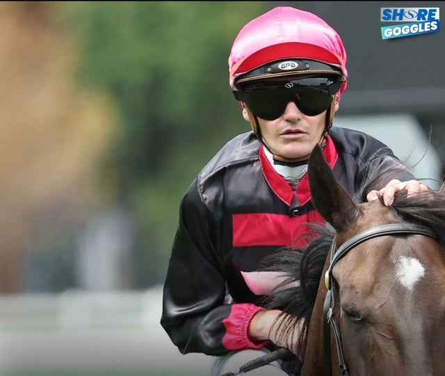 Small Grey Goggle