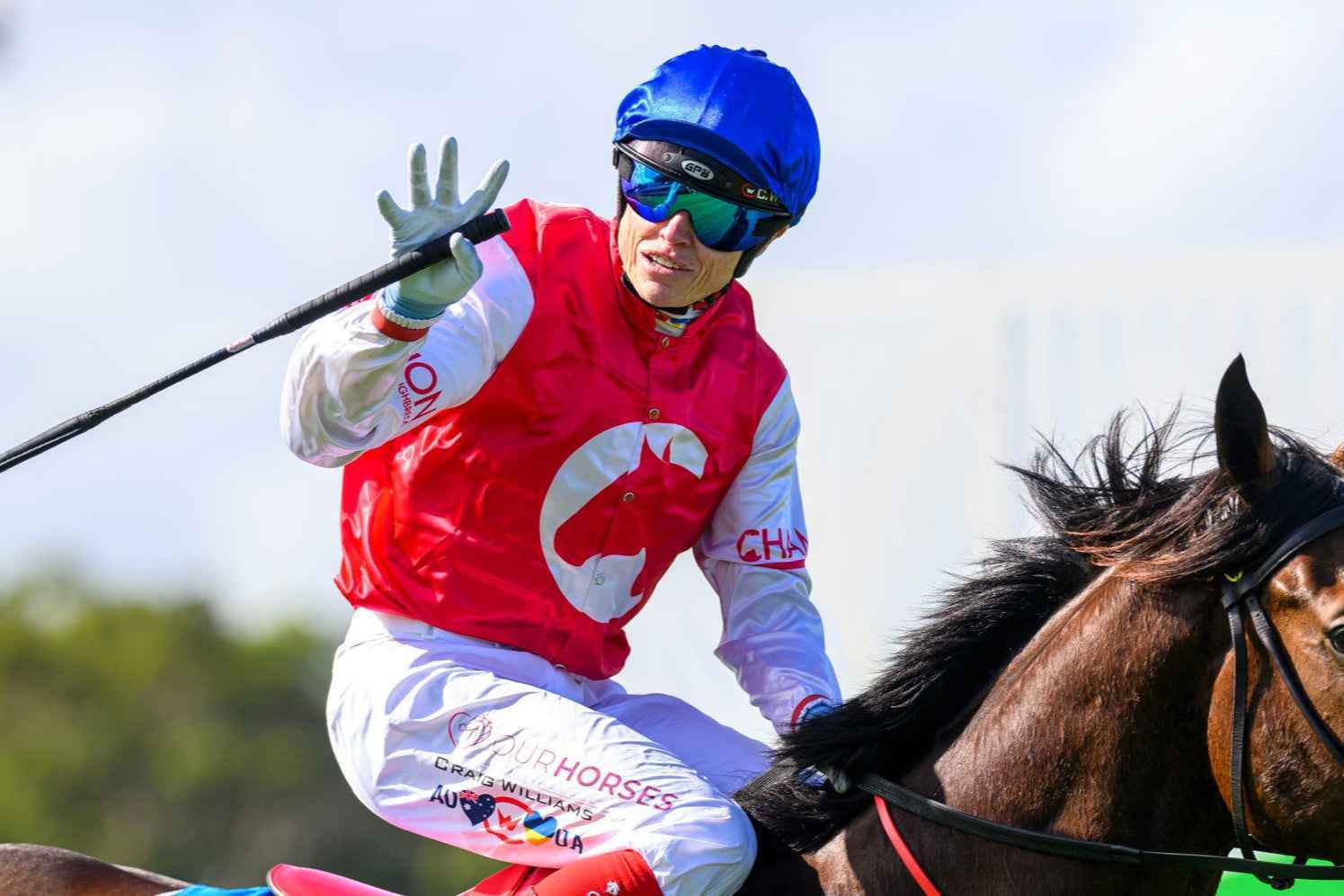 Large Blue Mirror Goggle