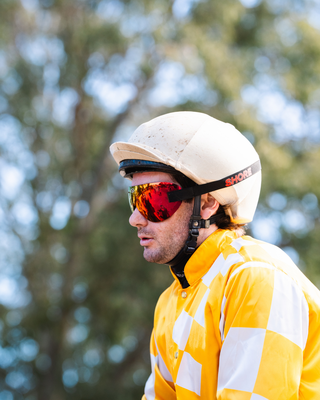 Large Red Mirror Goggle